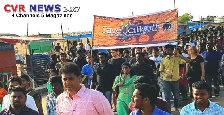 Jallikattu Jallikattu